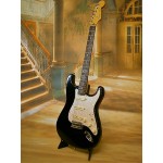 Fender Stratocaster, Japan